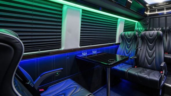 18 passenger sprinter van inside chesapeake