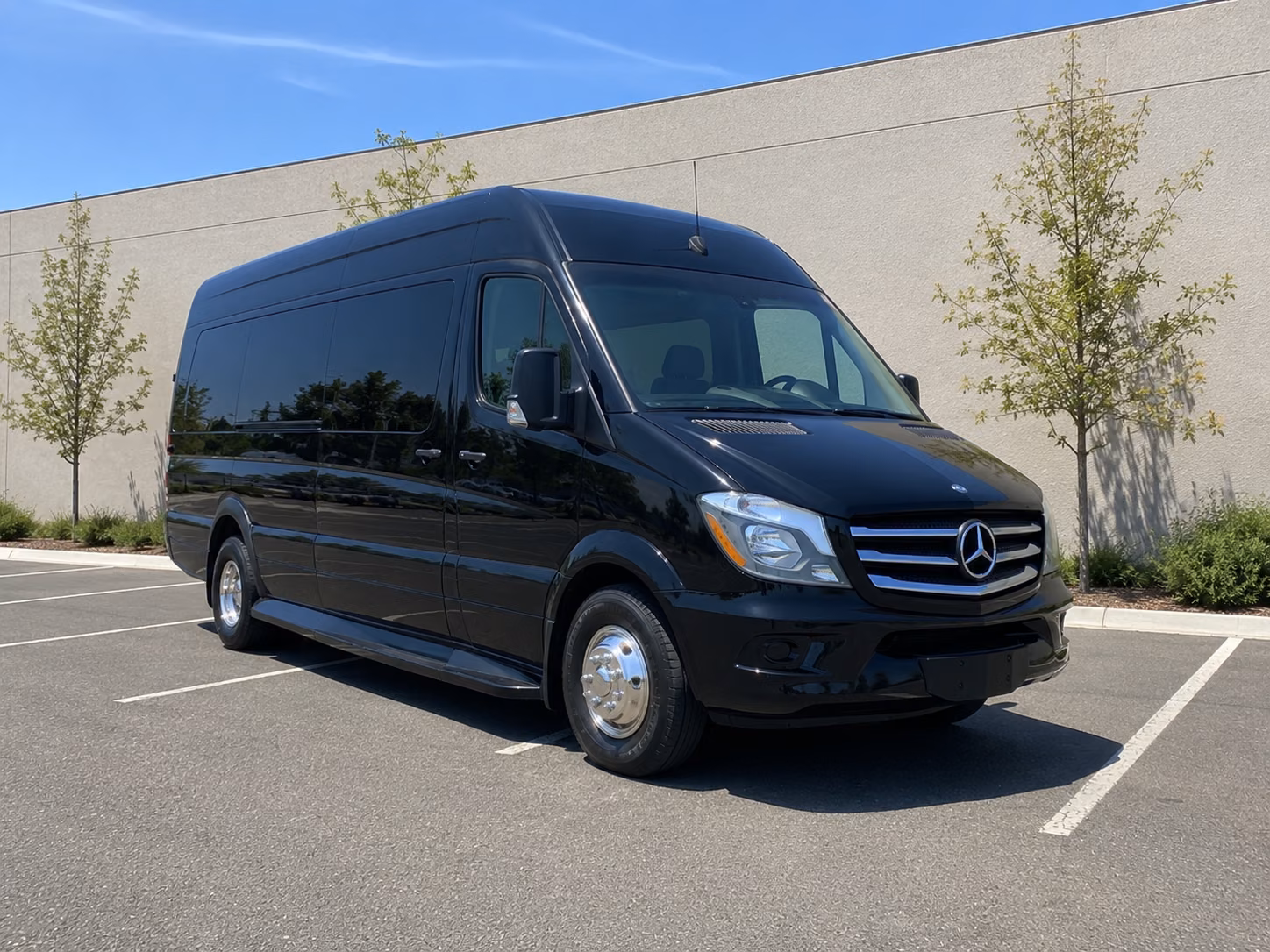 chesapeake 12 passenger sprinter van